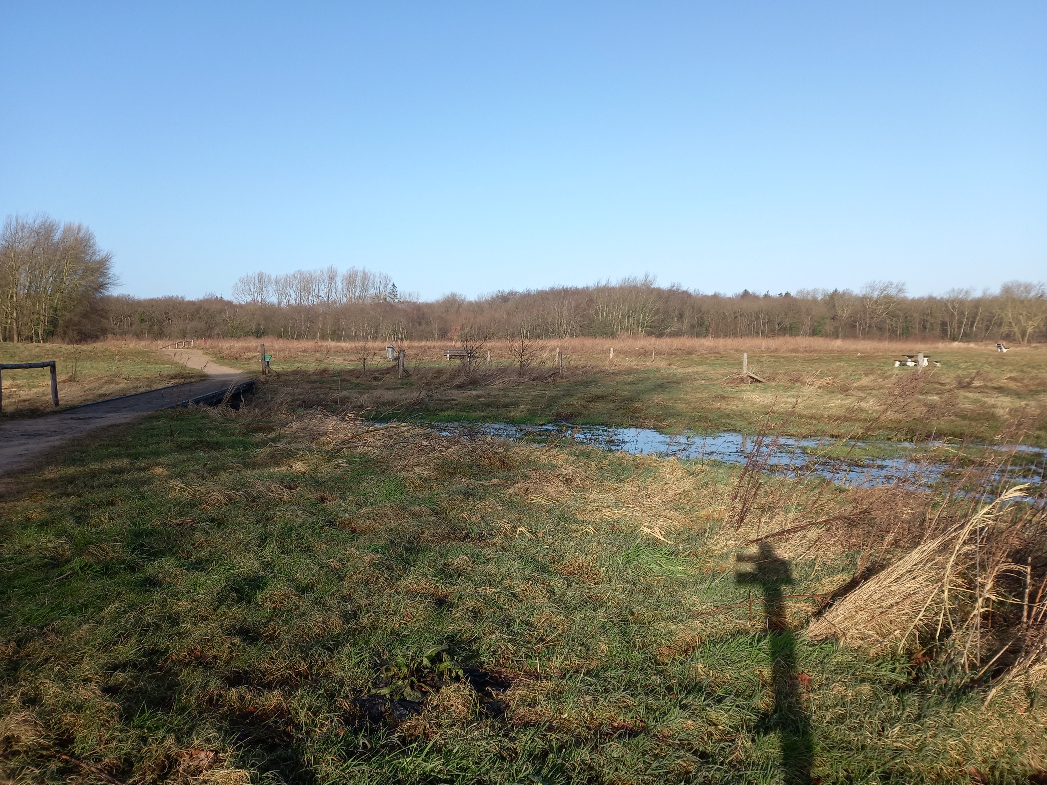 Citizen Science foto 15 voor locatie 3