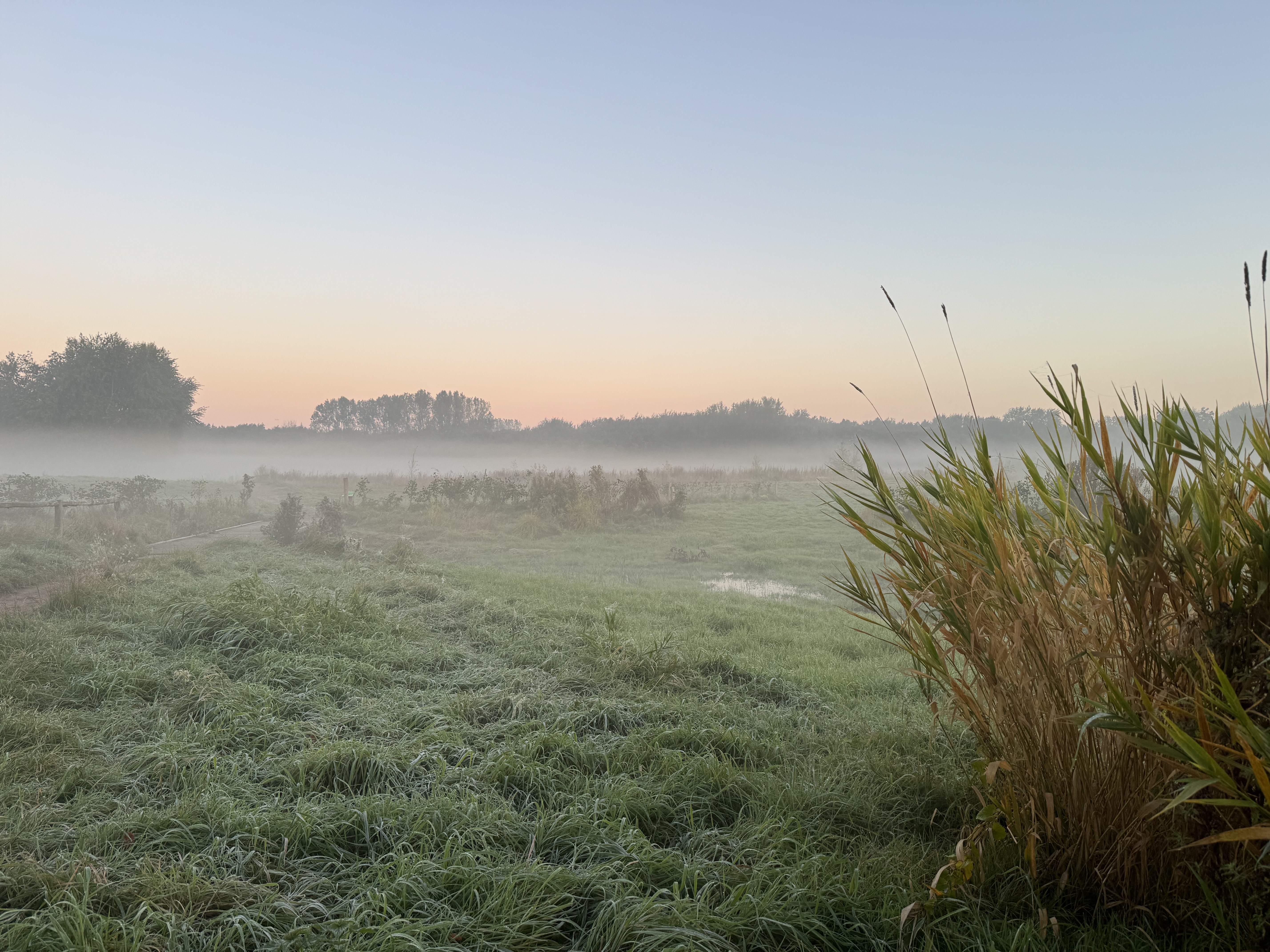 Citizen Science foto 9 voor locatie 3