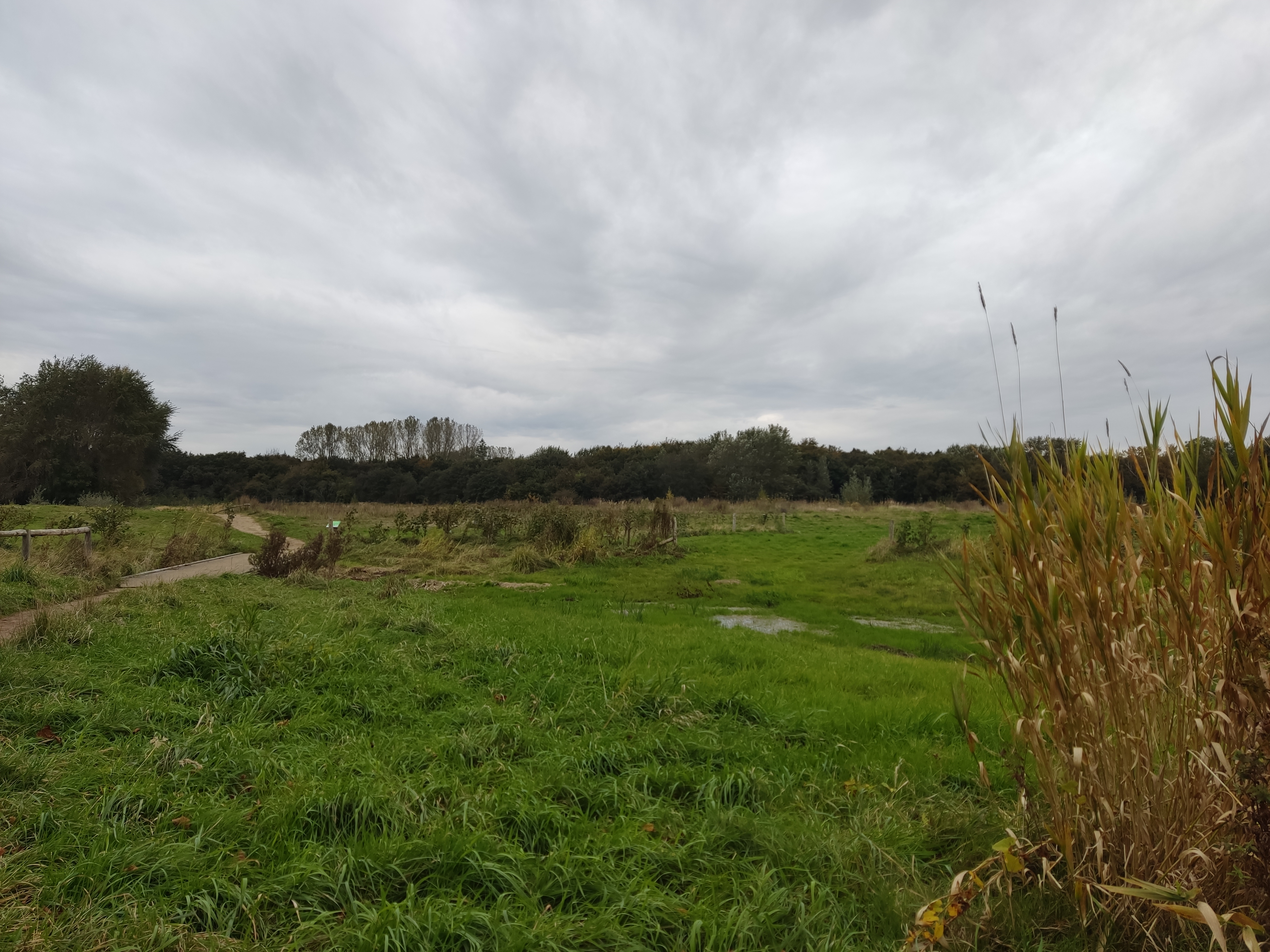 Citizen Science foto 7 voor locatie 3