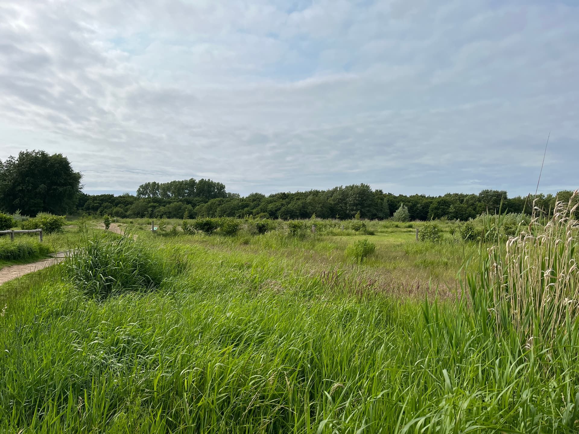 Citizen Science foto 2 voor locatie 3