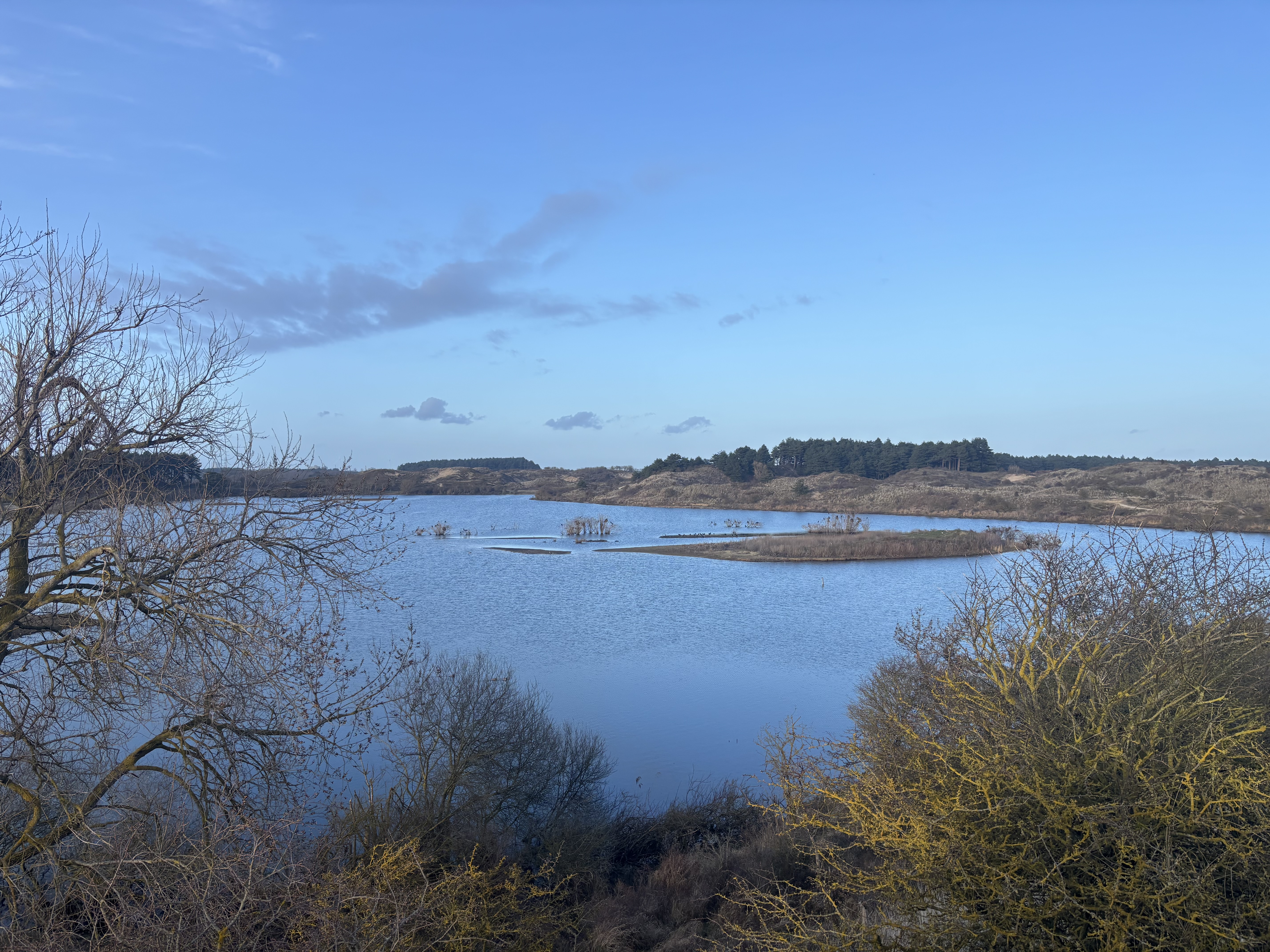 Citizen Science foto 190 voor locatie 4