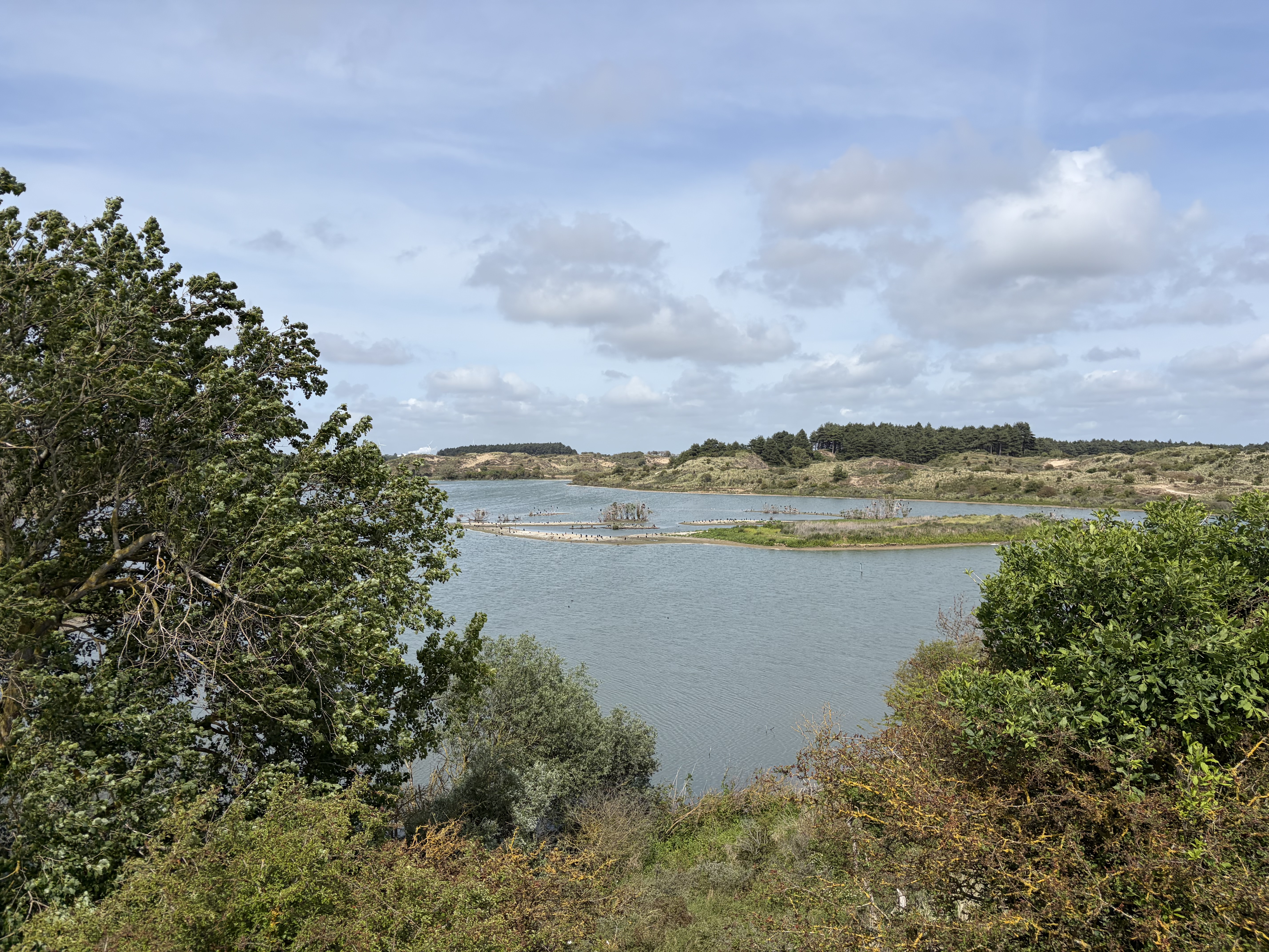 Citizen Science foto 29 voor locatie 4
