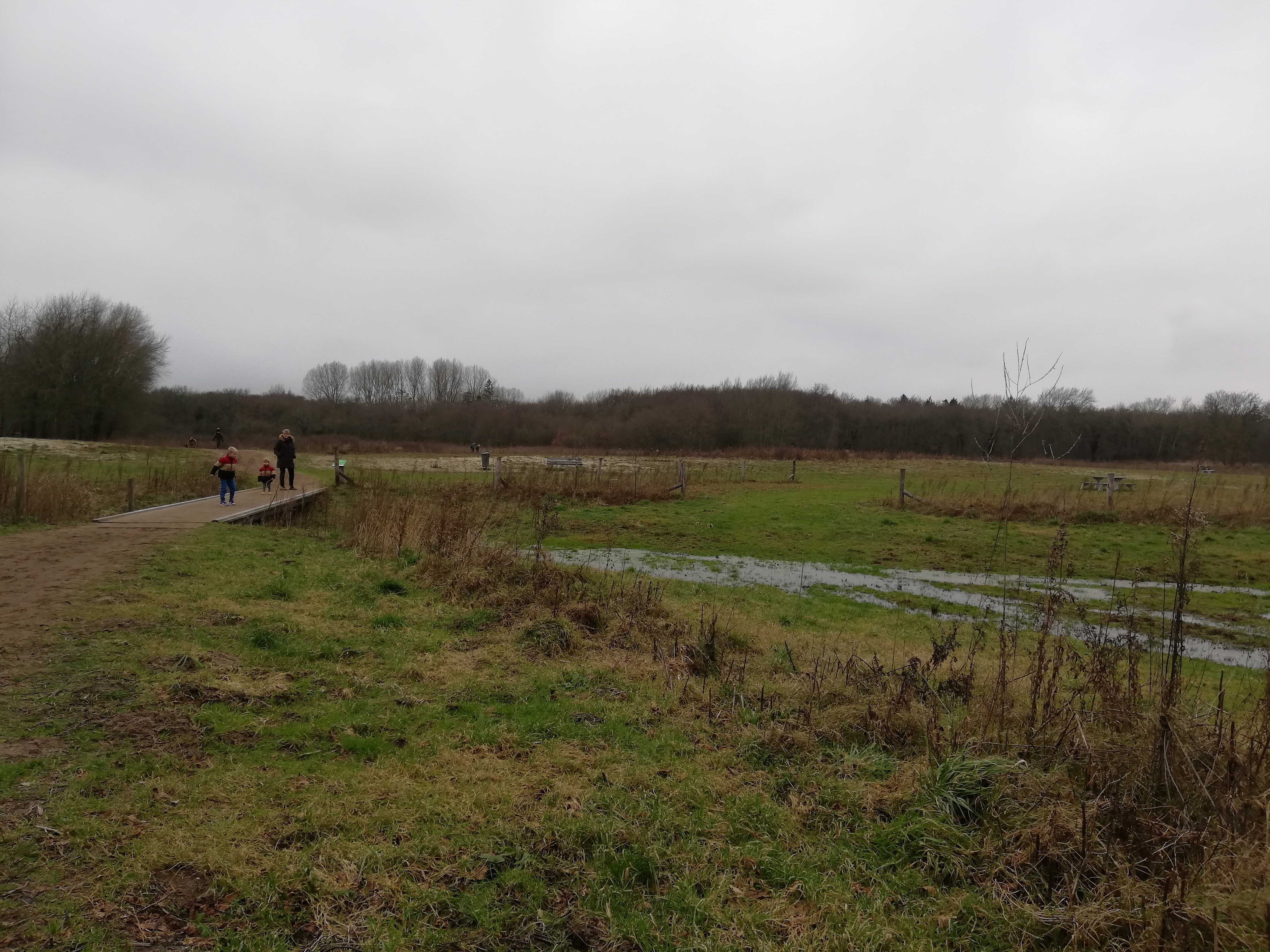 Citizen Science foto 68 voor locatie 3