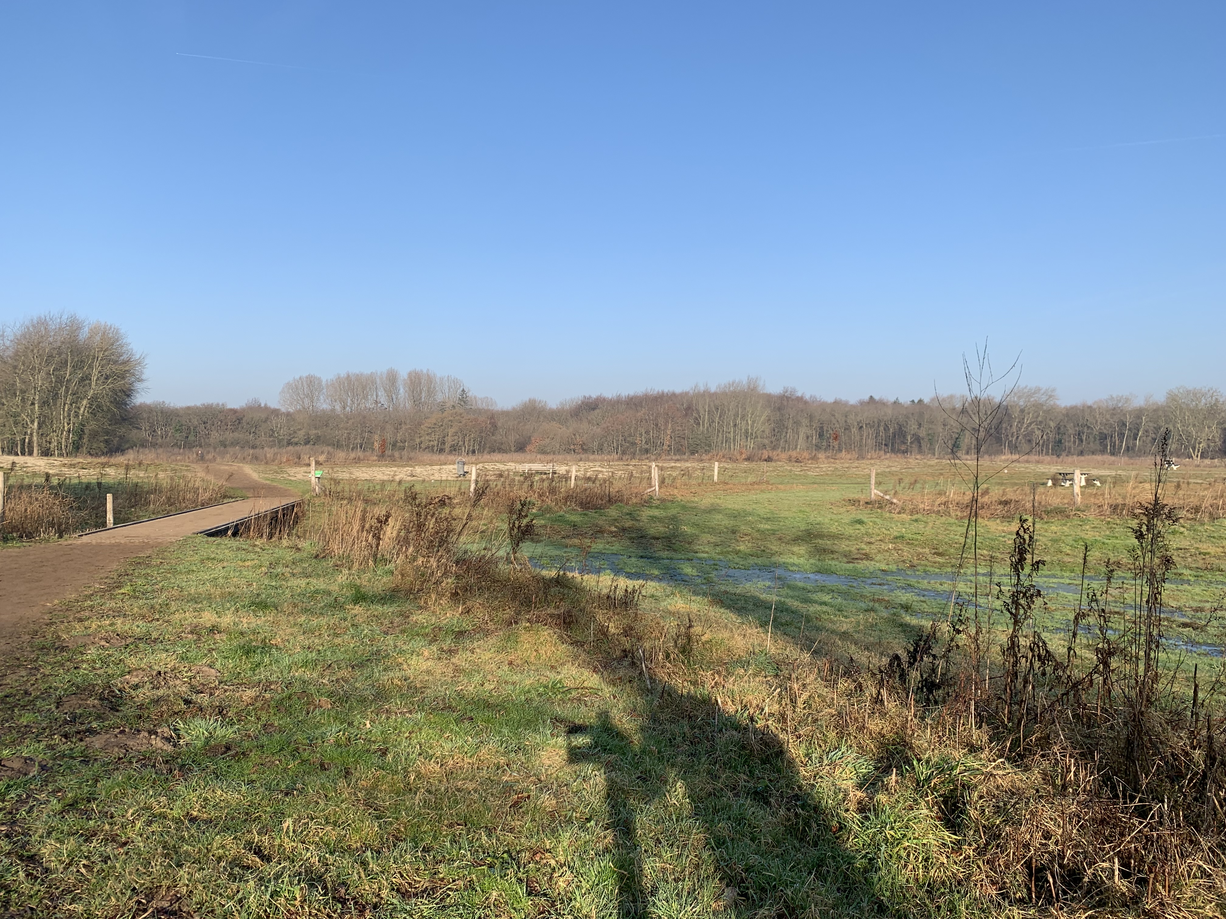 Citizen Science foto 65 voor locatie 3