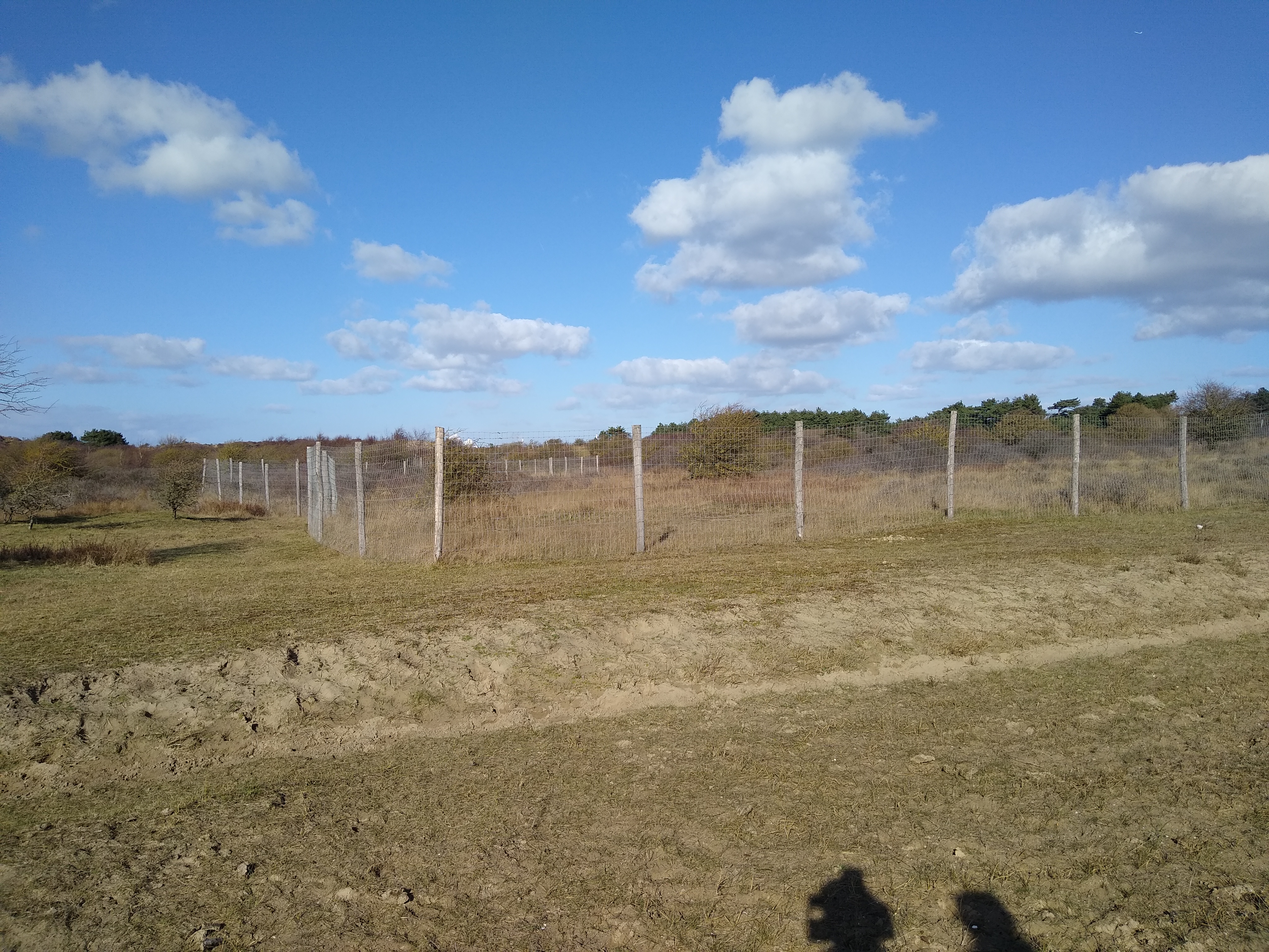 Citizen Science foto 67 voor locatie 2