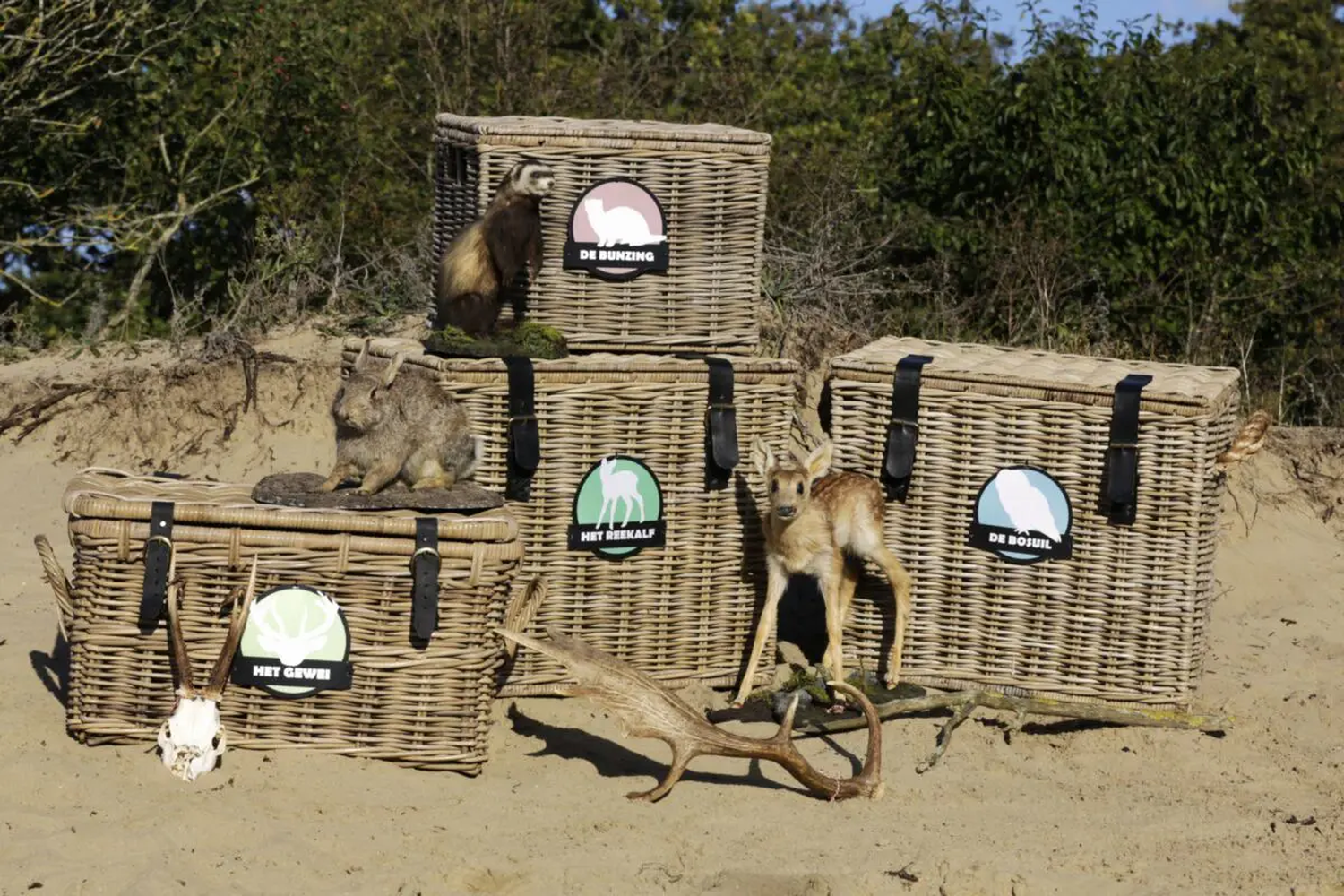 Spreekbeurtmanden in de duinen.