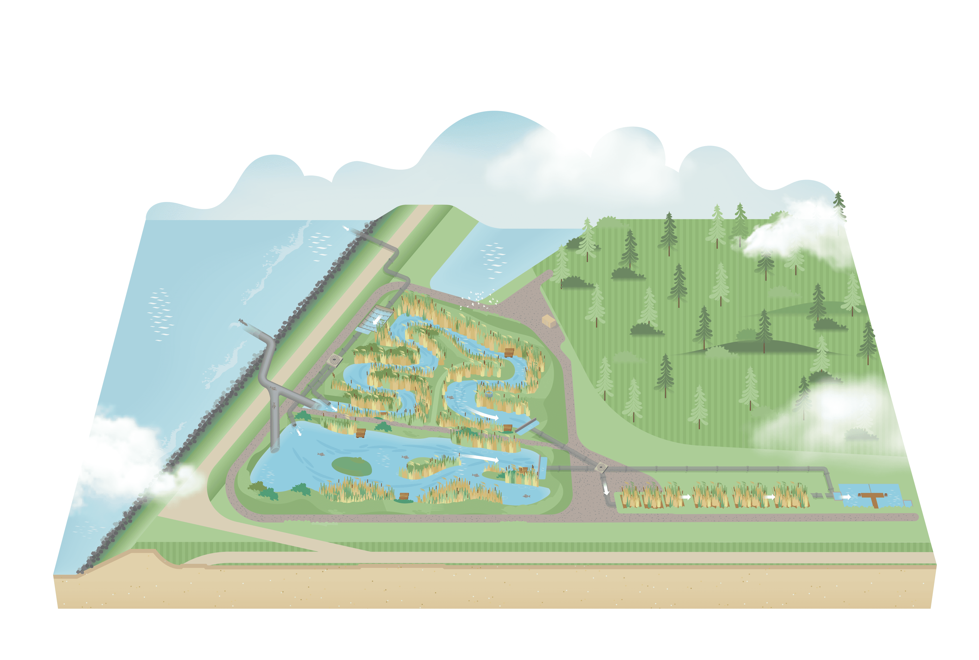 LIFE Watersource illustratie