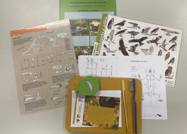 Informatie kaarten voor het uitpluizen van uilenballen