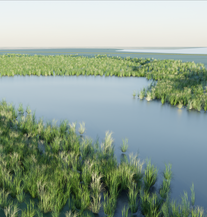 Impressie Klimaatbuffer