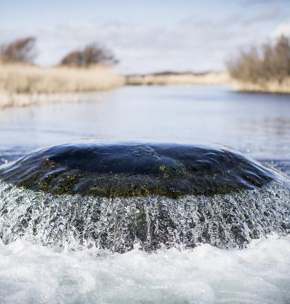 De waterinlaat in het infiltratiegebied Castricum