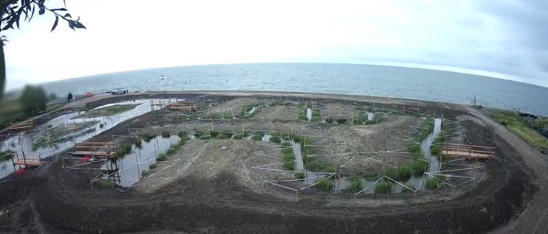 Webcambeeld LWS 2025