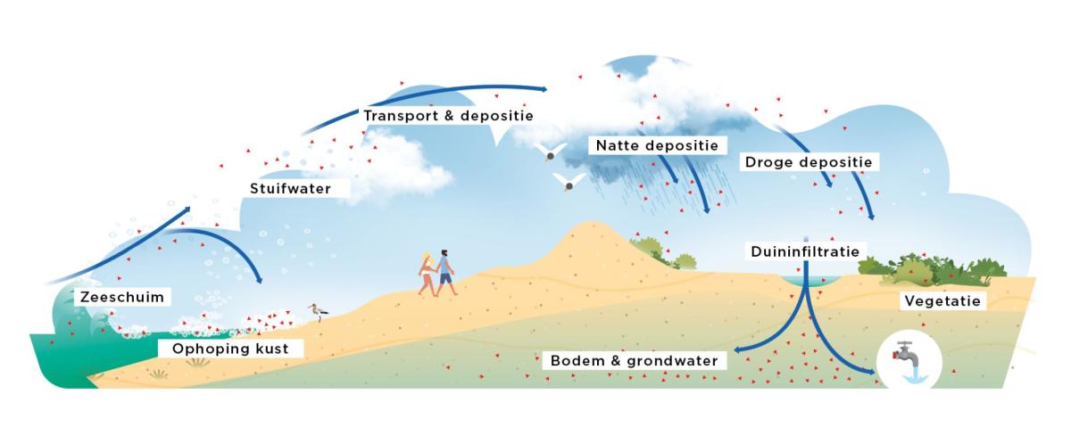 Infographic seaspray