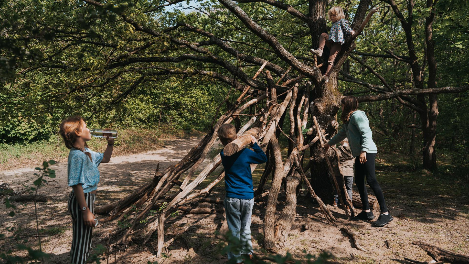 Cover Jaarverslag 2023