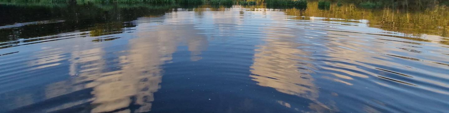 Meertje van vogelenzang