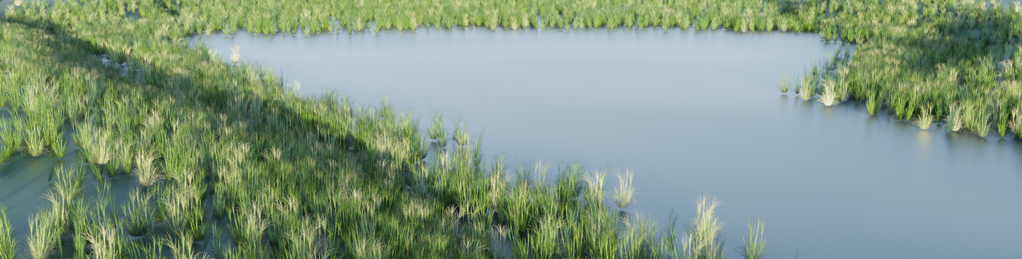 Impressie Klimaatbuffer