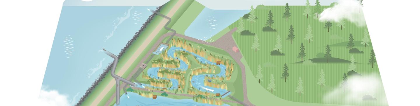 LIFE Watersource illustratie