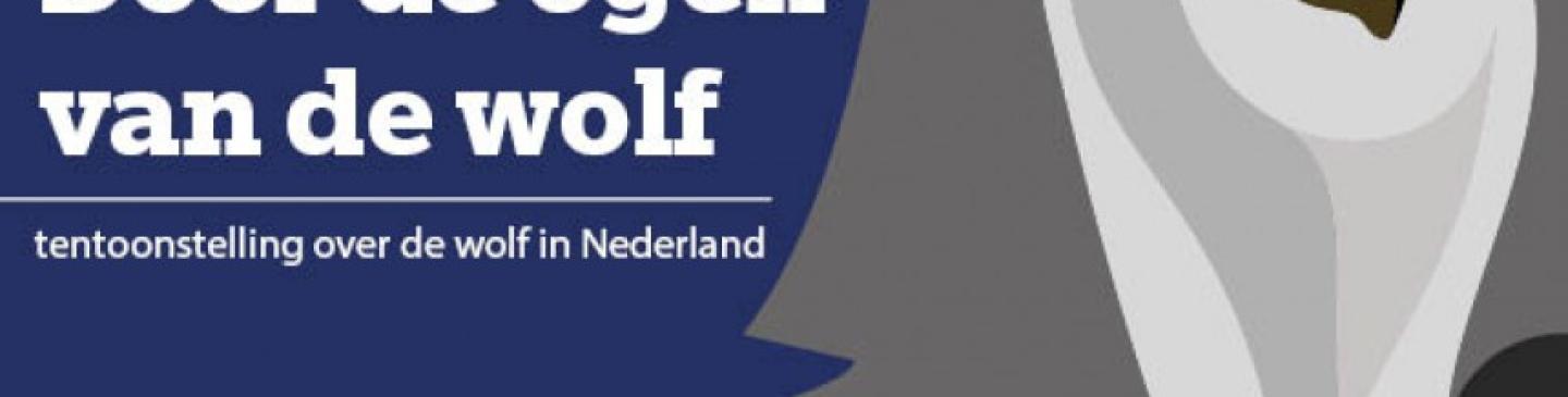 tentoonstelling door de ogen van de wolf