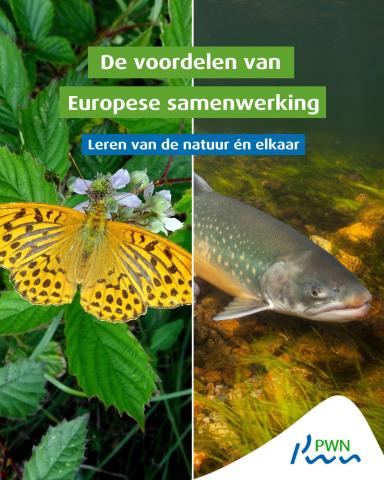 Keizersmantel en trekzalm