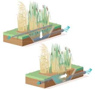 Helofytenfilter afbeelding