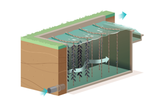 Mosselzone afbeelding