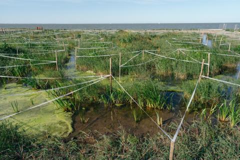 LIFE Watersource landschsp