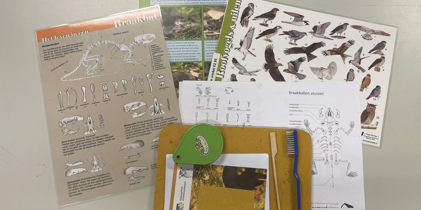 Informatie kaarten voor het uitpluizen van uilenballen