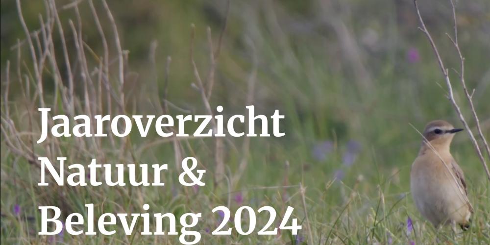 Jaaroverzicht natuur & beleving 2024
