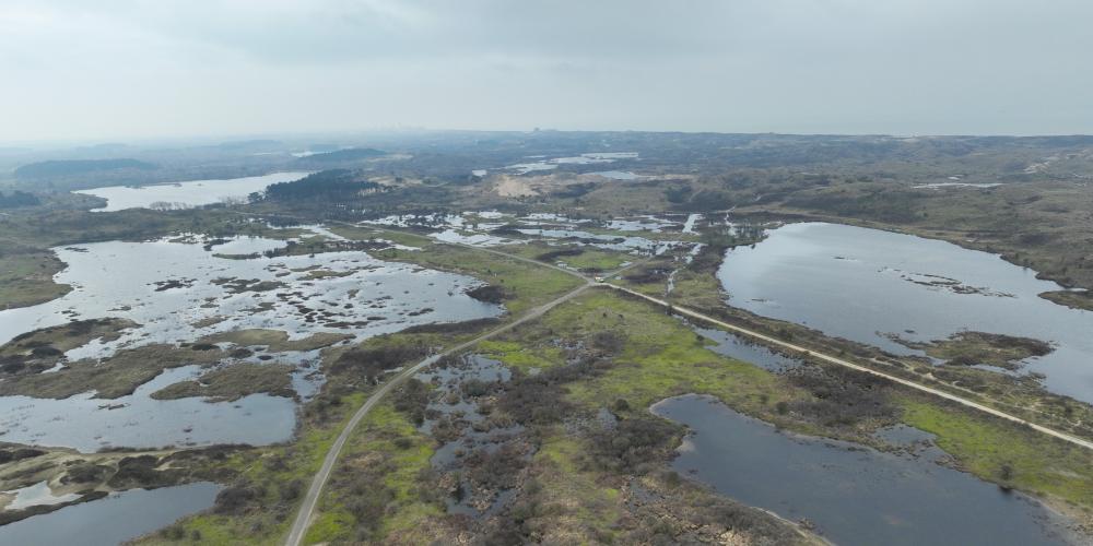 water in de duinen