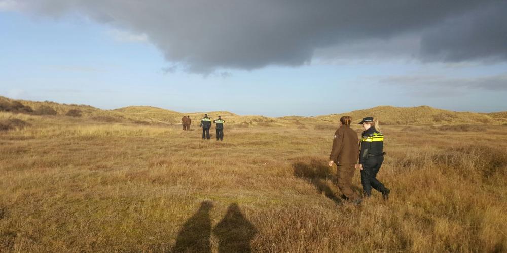 Boswachter met politie in duin