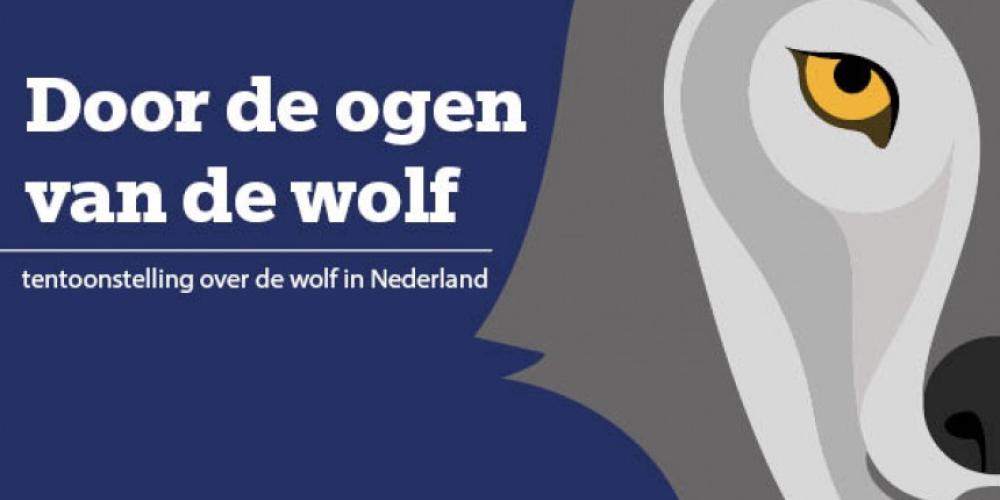 tentoonstelling door de ogen van de wolf