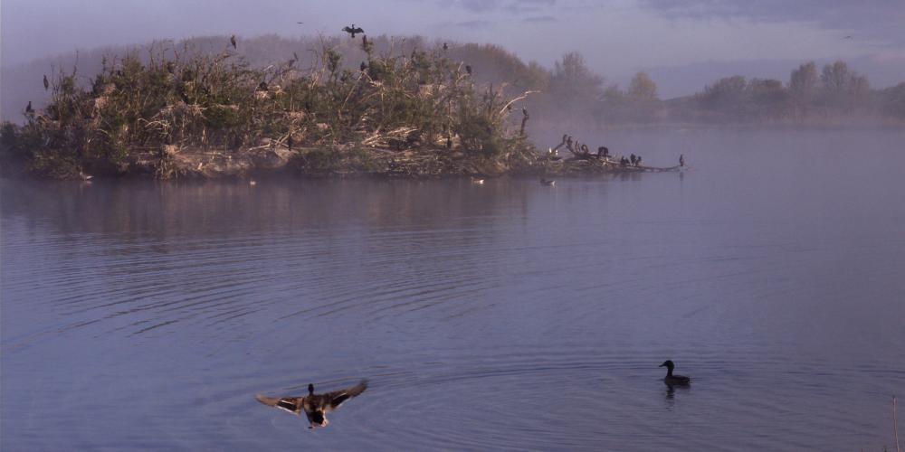 Hoefijzermeer in het Noordhollands Duinreservaat