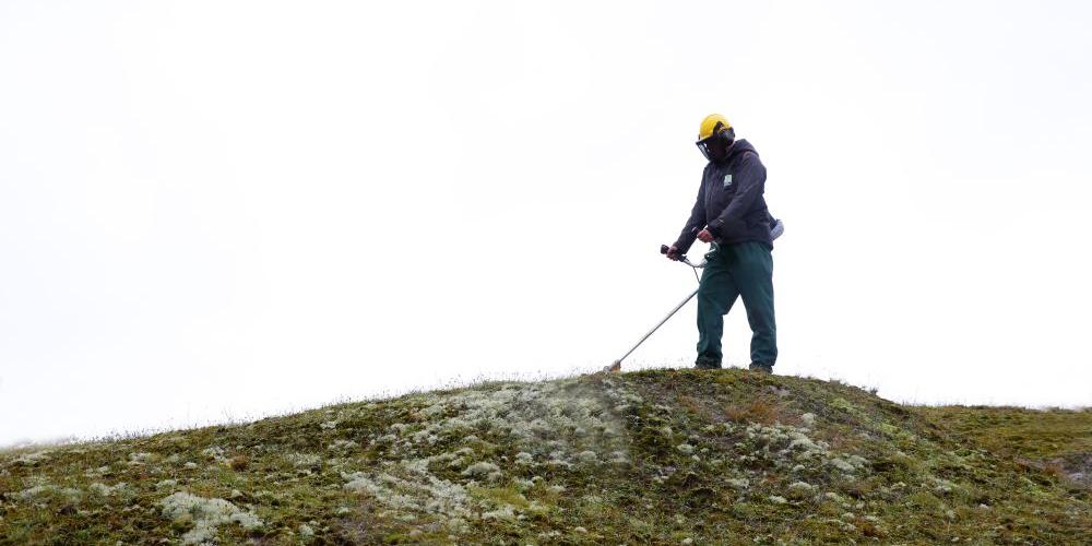 Student interne MBO opleiding werkt met maaimachine in het duin