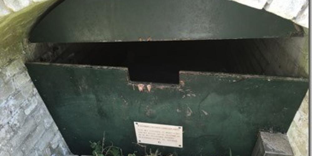 Vijgedal Vleermuizen 1