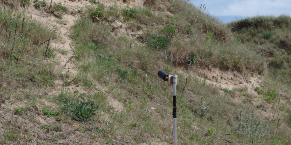 Tata Steel plaatst webcams voor oeverzwaluwen