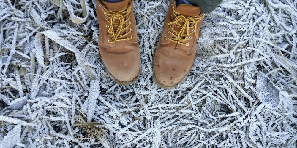 Wandelschoenen in de winter