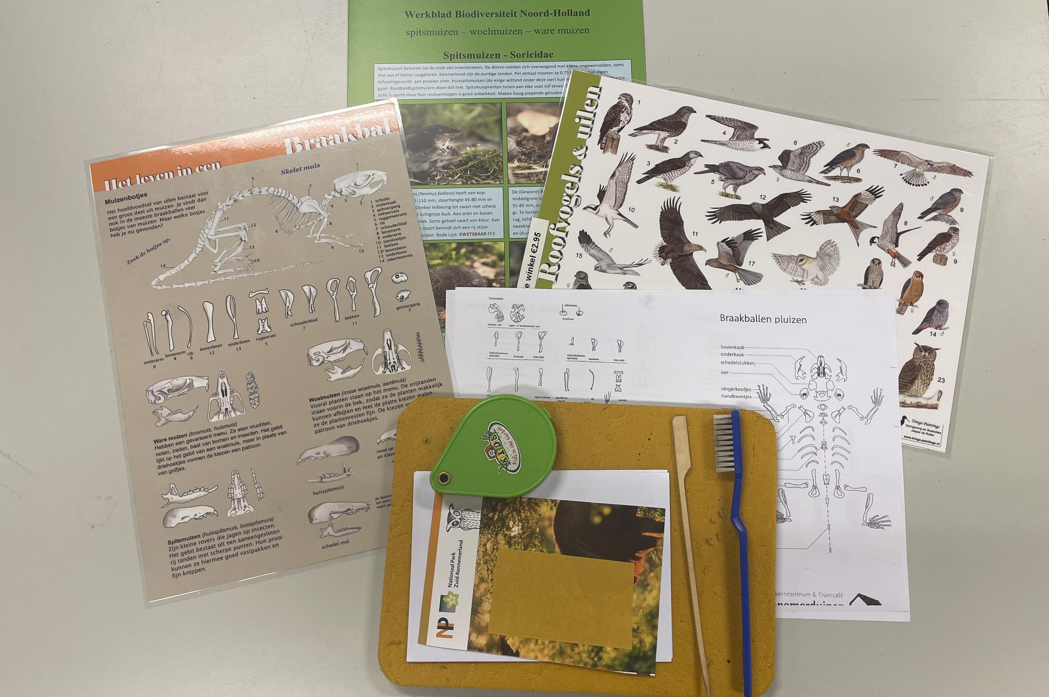 Informatie kaarten voor het uitpluizen van uilenballen