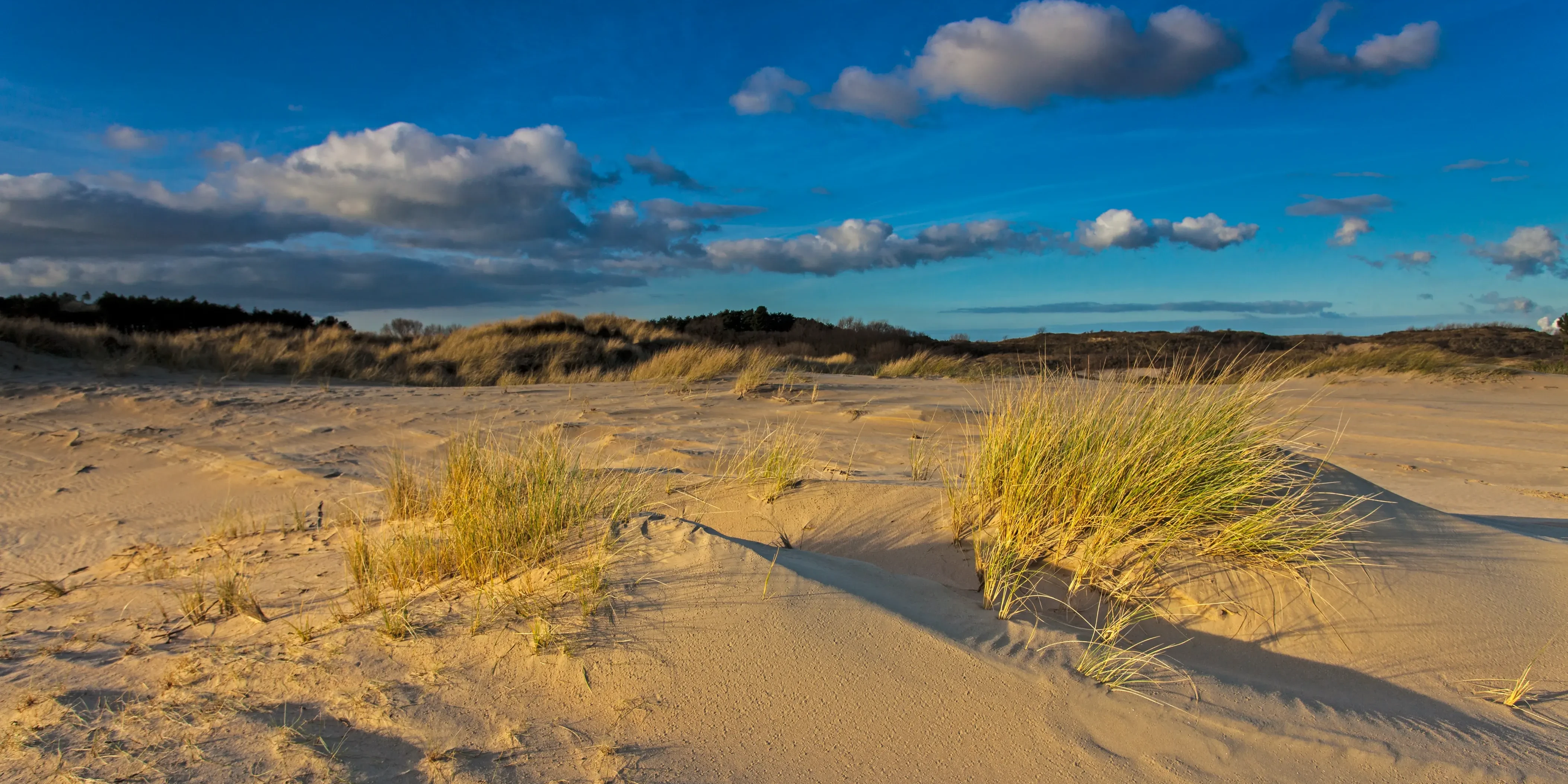 Duinlandschap met begroeiing van helmgras en een blauwe lichtbewolkte lucht